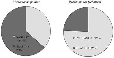 Evaluation of Mixotrophy-Associated Gene Expression in Two Species of Polar Marine Algae